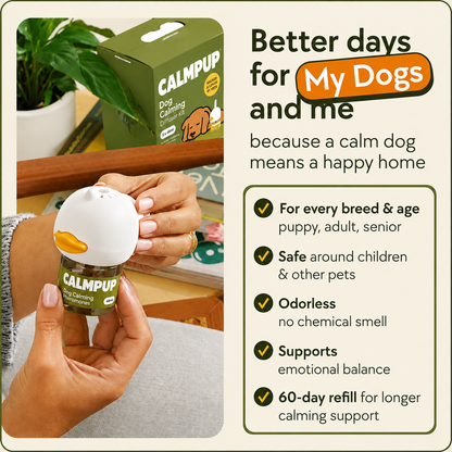CalmPup™ Daily Calm Support for Dogs