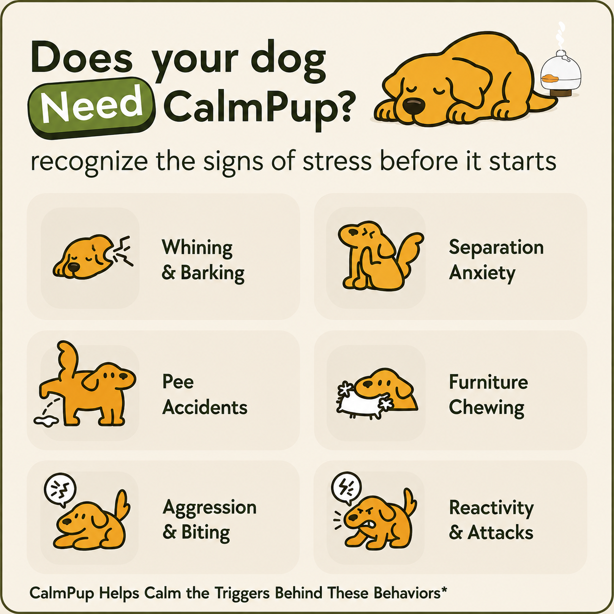 CalmPup™ Daily Calm Support for Dogs